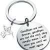 Best PLITI Pliti Hummingbird Gift Hummingbird Memorial Gift Goodbyes Are Not Forever Goodbyes Are Not The End Remembrance Keychain