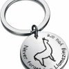 Best Baige Llama Keychain Never Forget How Llamazing You Are Keychain Alpaca Jewelry Animal Lover Gift