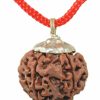 Wholesale IS4A Is4A 100% Original & Natural Rudraksha Pendant (Locket) Silver Pendant