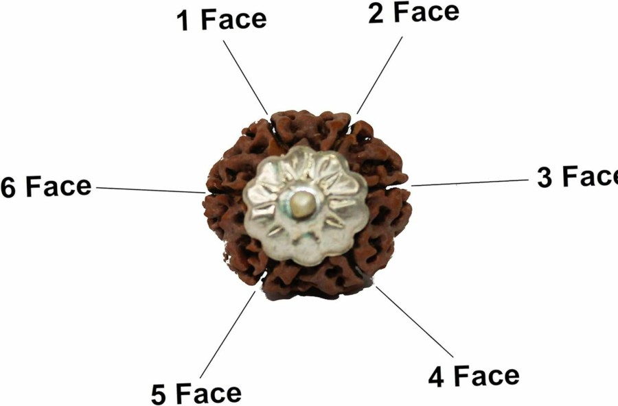 Wholesale IS4A Is4A 100% Original & Natural Rudraksha Pendant (Locket) Silver Pendant