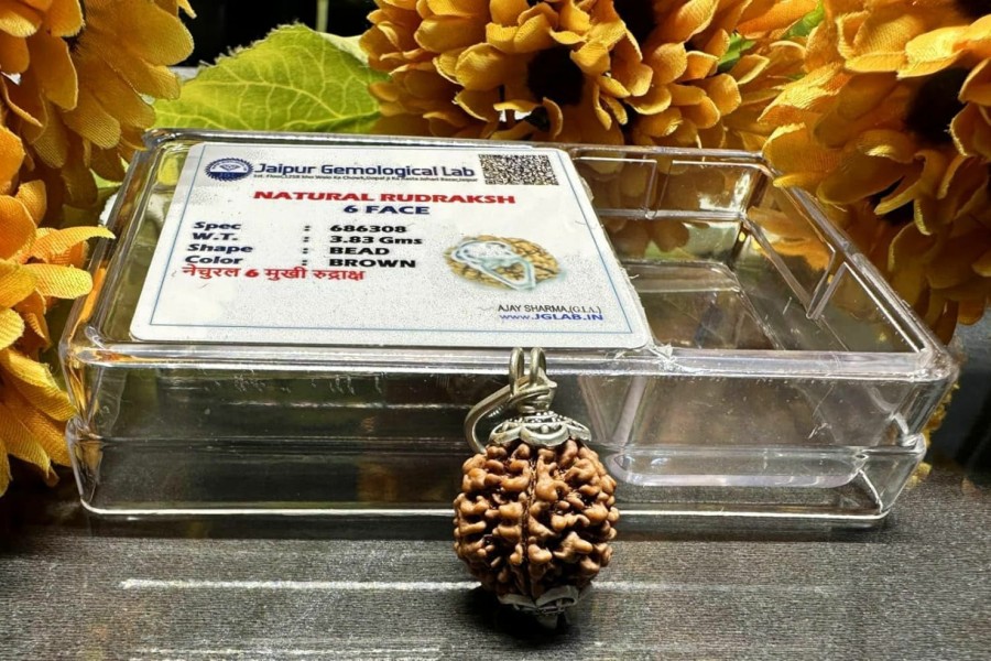 Wholesale 4OUR FAITH 4Our Faith Jaipur Gemological Lab Certified 6 Mukhi Rudraksha Bead Pendant/Six Mukhi/ 6 Face(6 Face, Rare Bead Size, Uni) - 100% Natural Brown Bead With Certification For Healing/Puja/Spiruality